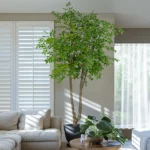 Artificial Plants Ulmus Pumila High Quality Factory Hot Sale Simulation Tree in Pot Indoor Outdoor Decoration